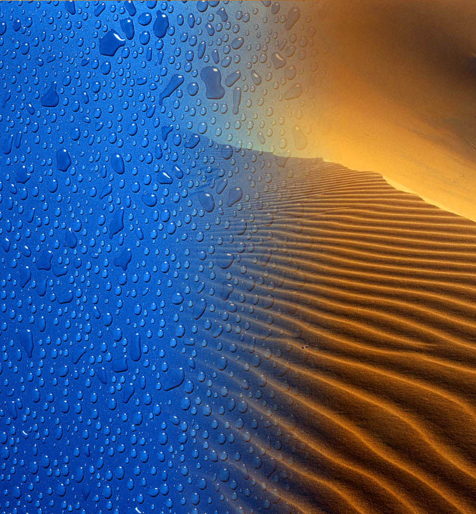 Portada. Composici�n por Alexander Prieto Osorno