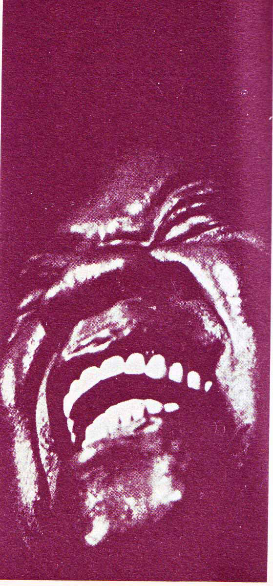 Louis, enorm�simo cronopio