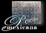 Po�ticas mexicanas