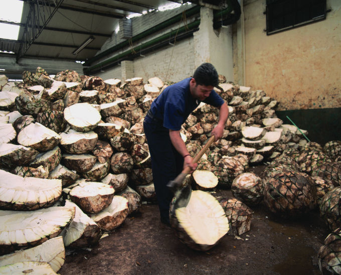 Cortando las pi�as