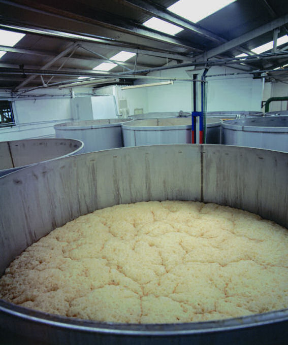 Sistema de cocci�n. Tequila Don Julio