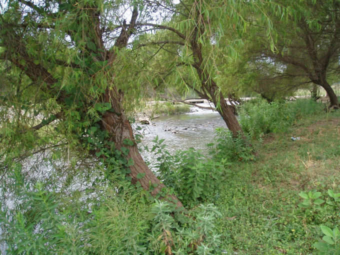 El r�o que se llev� a la vaca de la Tacha 